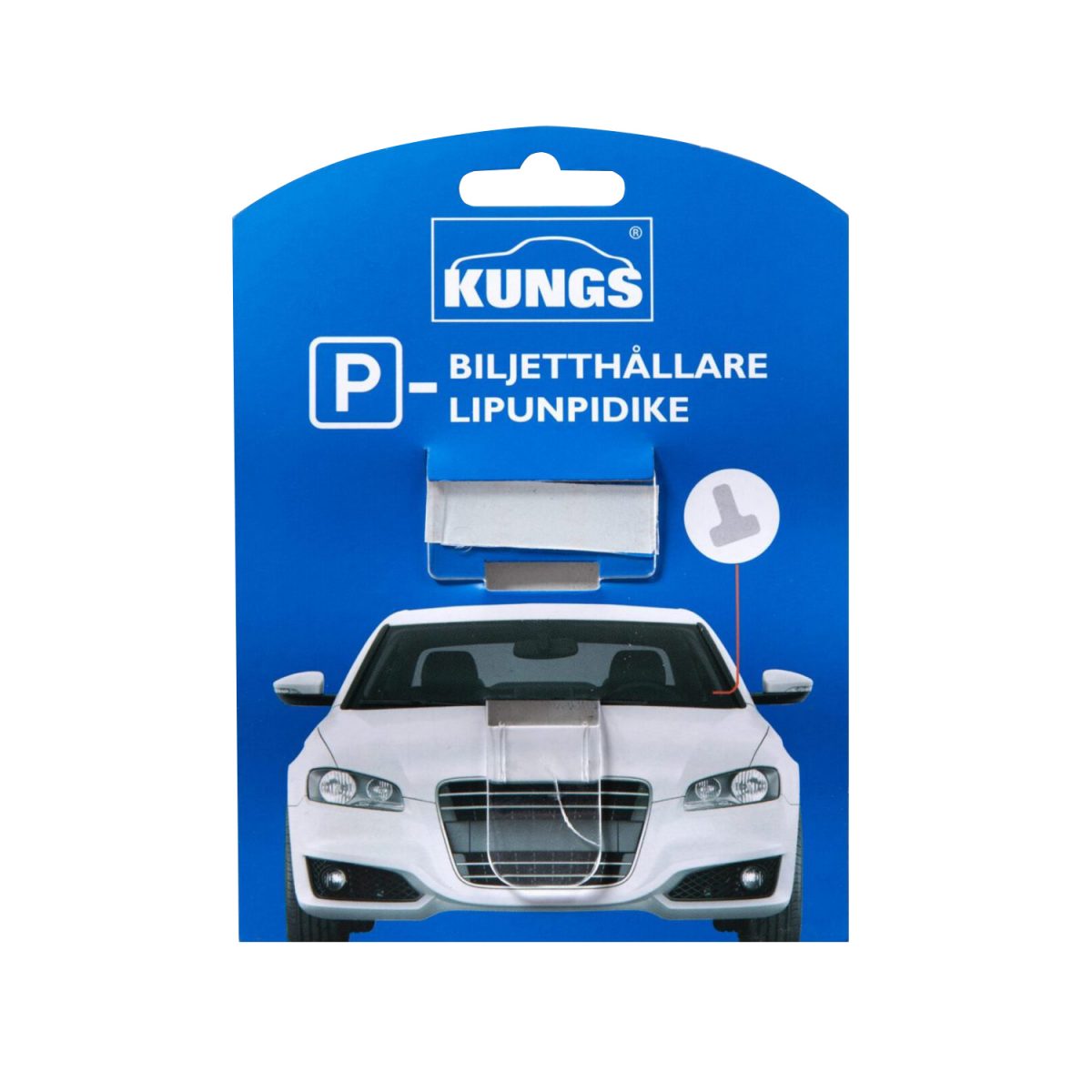 Kungs lipunpidike