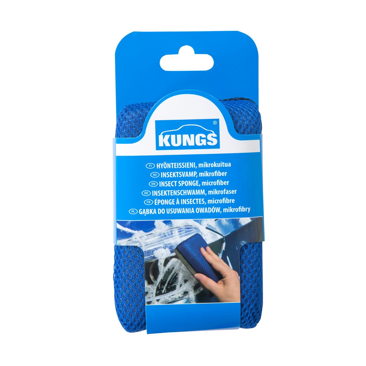 Kungs hyönteissieni, mikrokuitua
